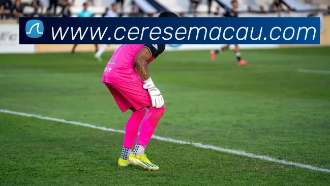 App功能展示图